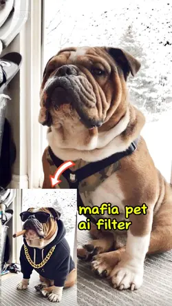 m@fia pet ai filter