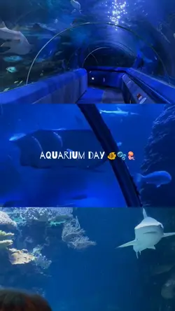 aquarium day