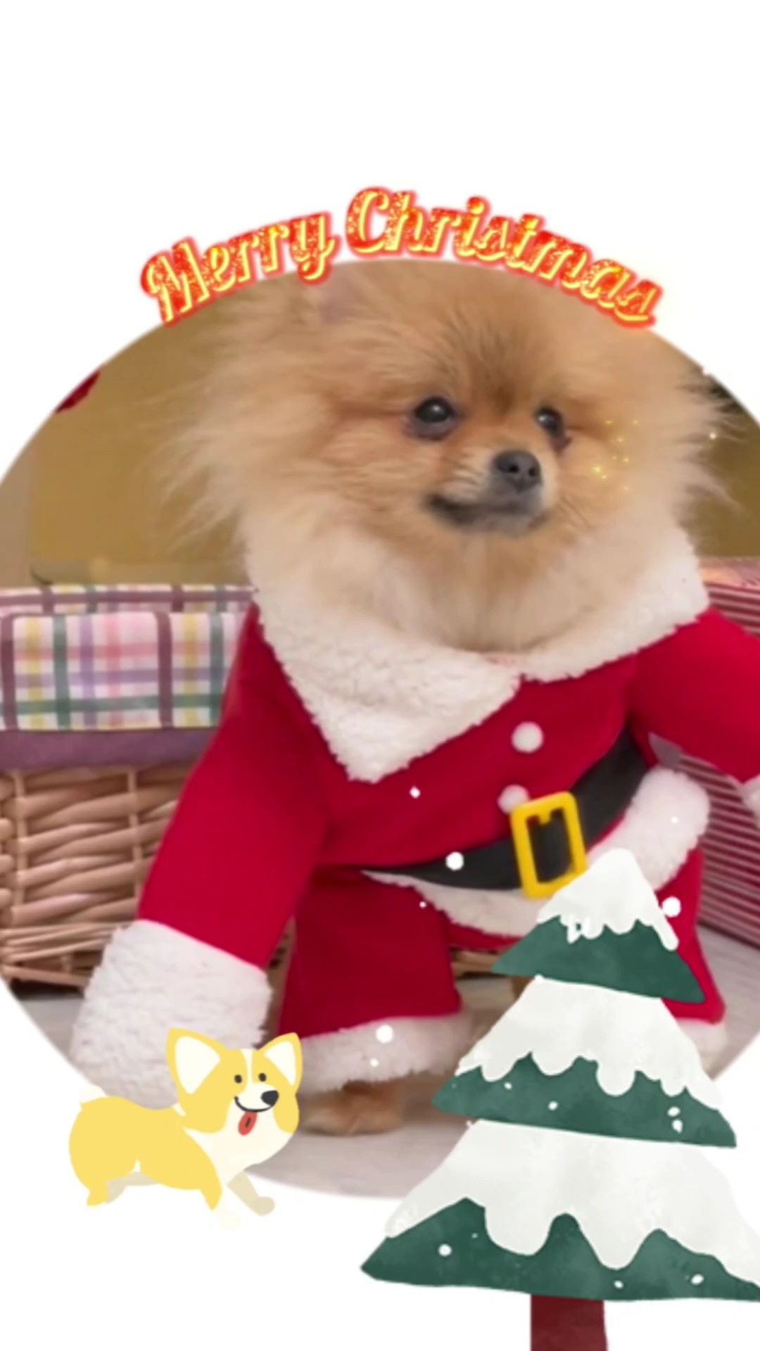 Máscara de cuenta regresiva minimalista para mascotas navideñas C2B Traje de Navidad de estilo blanco para perros