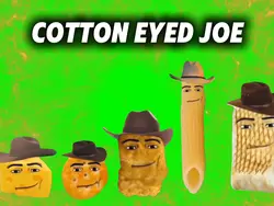 COTTON EYED JOE