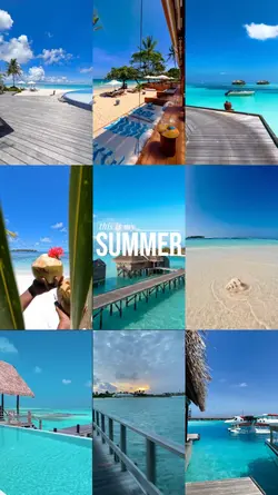 My Summer