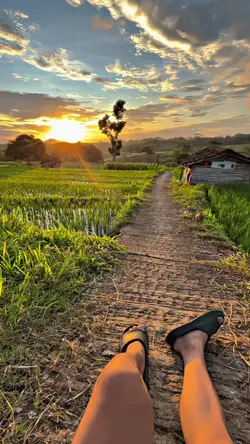 1 VID HD JERNIH