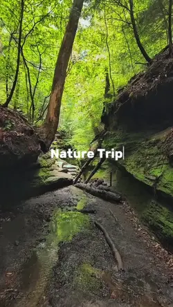 Nature Trip 