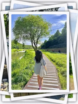 8Pic Frame Aesthetic