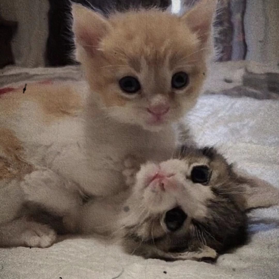 it will never change