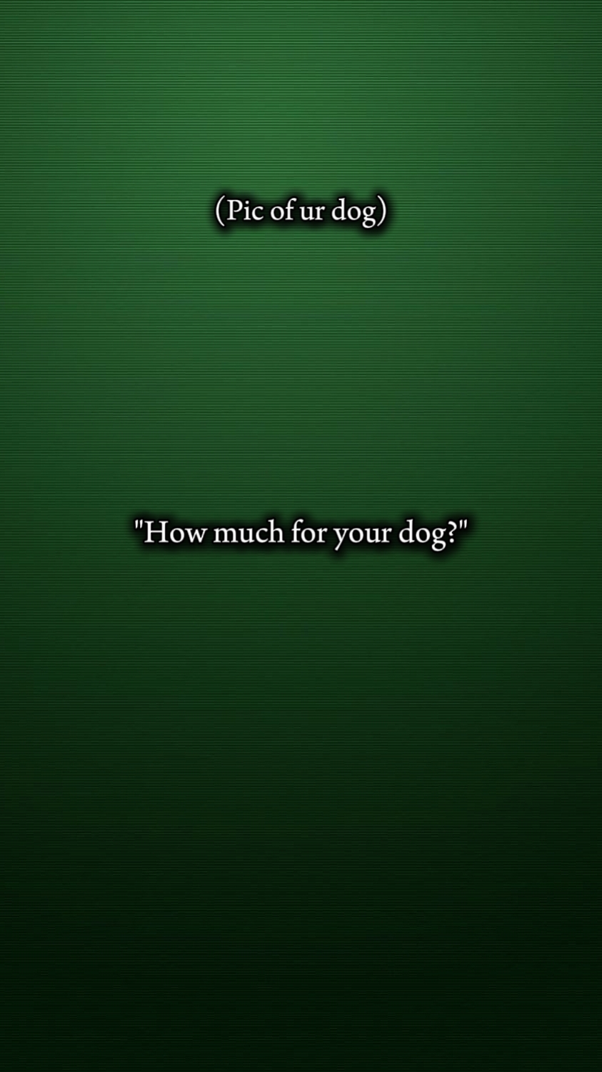 Perro