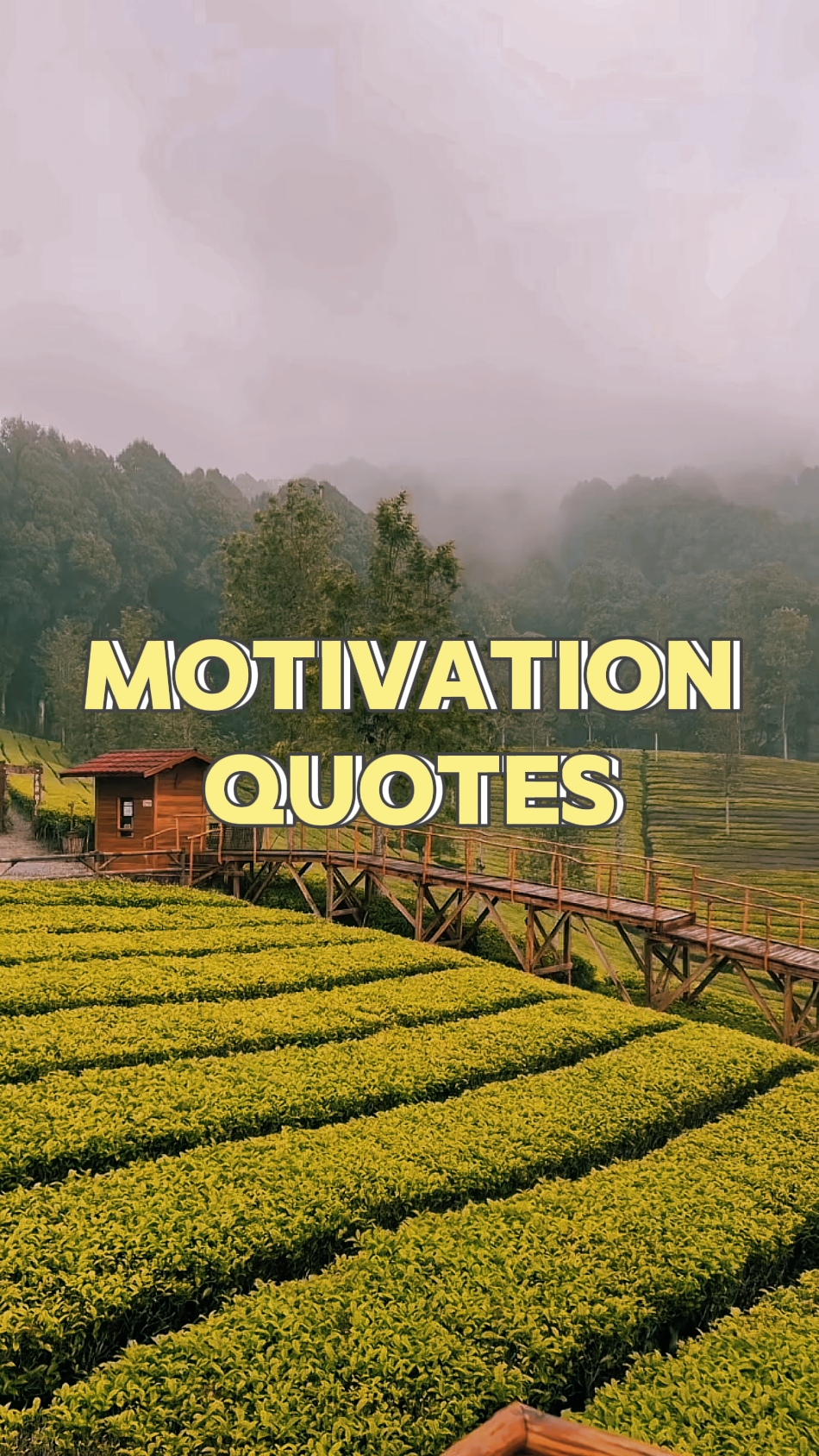 Kutipan Motivasi 