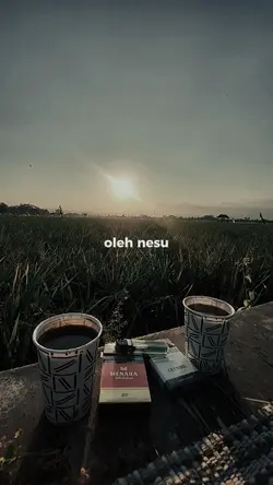 Oleh Nesu Tapi Ojo