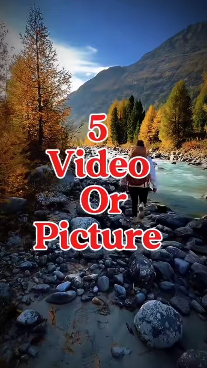 Vlog 