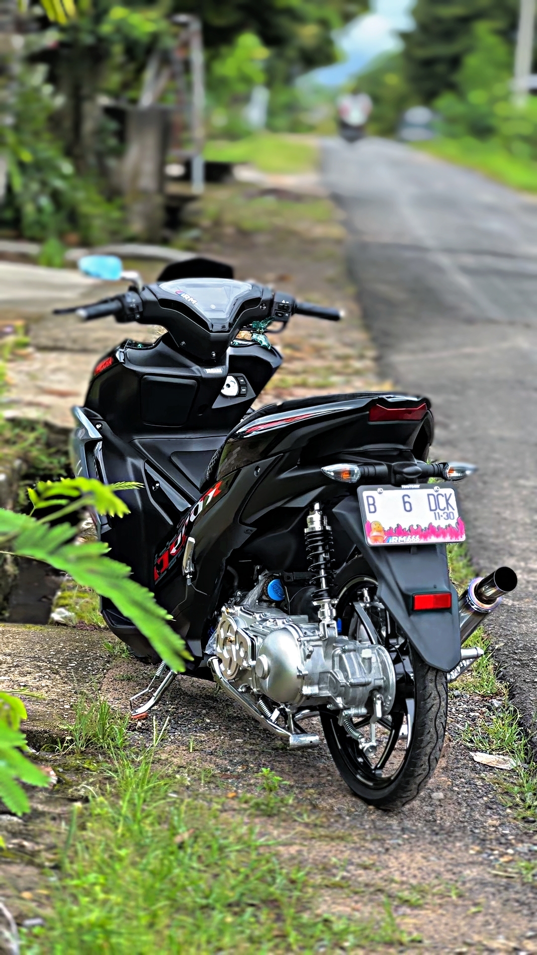 Cover Picture