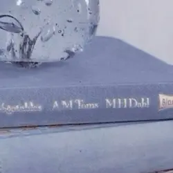  ︎︎↳↳ ︎︎天ノ弱 ︎︎