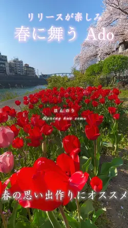 春に舞う🌸Ado