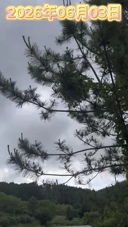 今日の天気