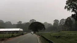 Siemreab🇰🇭
