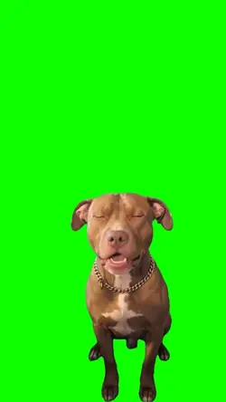 Singing Dog 
