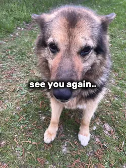 miss you so much🕊️