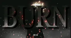 I let the world burn