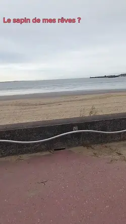 je veux ce sapinnn