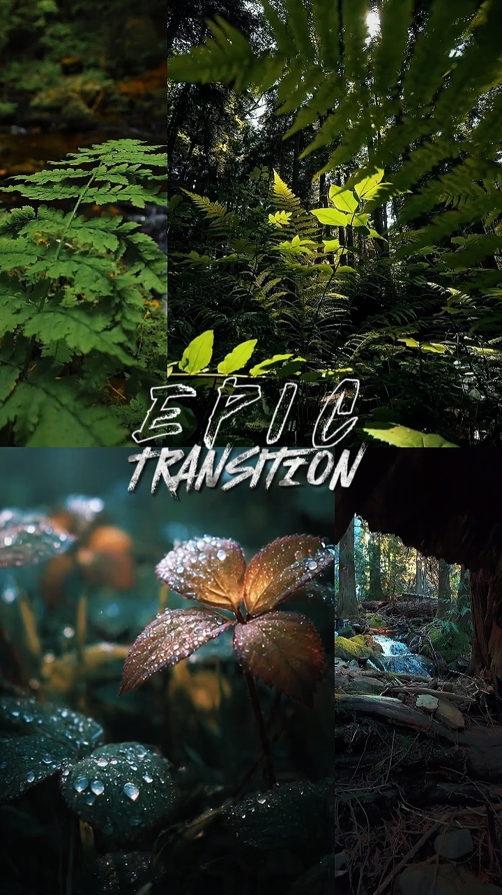 Epic Transition 