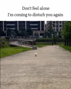 Funny meme