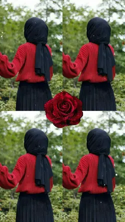 Kırmızı Gül Kolajı 