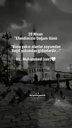 meryemteymurluk 