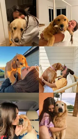 My pets 
