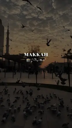 MAKKAH VIBES