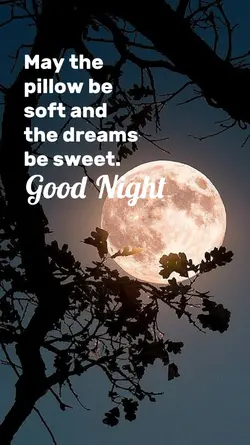 goodnight