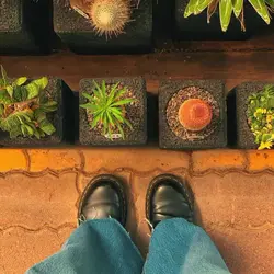 5 FOTO