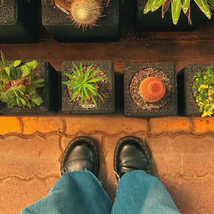 5 FOTO
