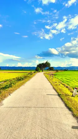Chill đồng quê