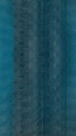 Mahadev New Template