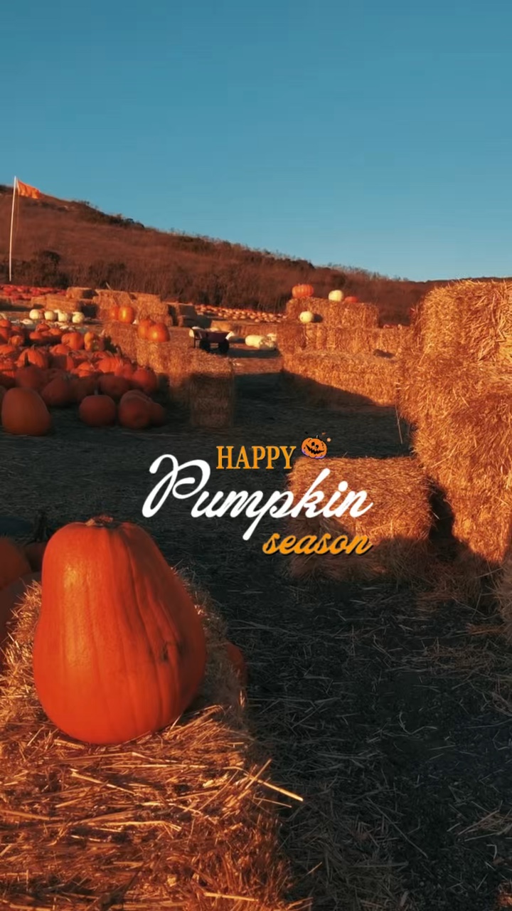 Temporada de calabazas 