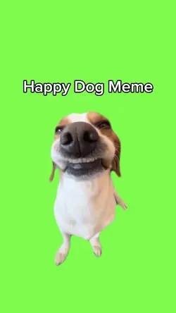 Happy Dog Meme