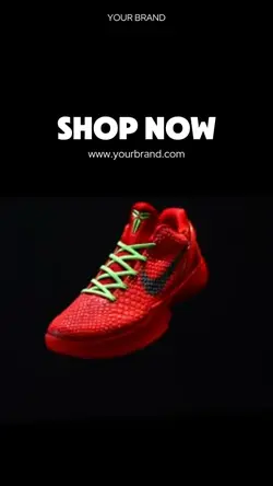 LIMITED SHOES