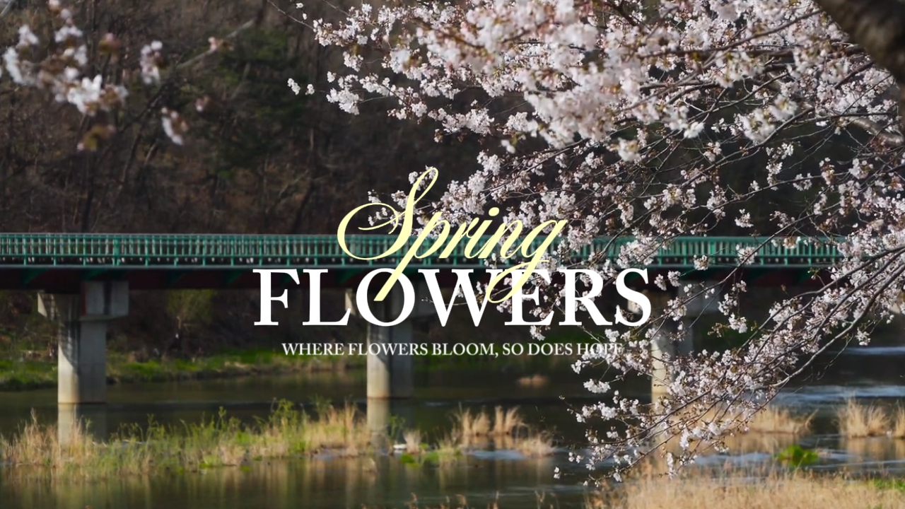 fleurs de printemps