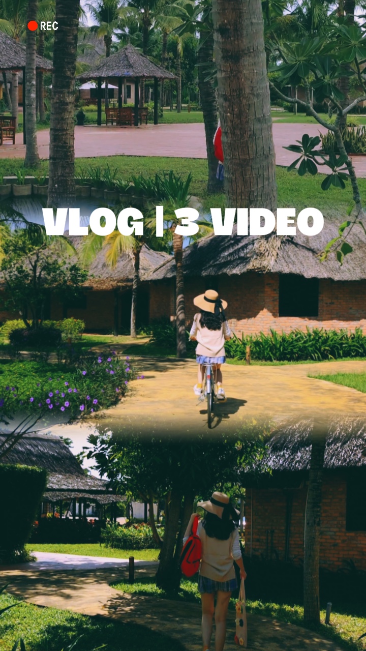 VLOG | 3 Video