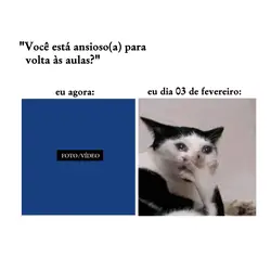 Volta às aulas meme