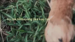 Ku tak terbayang 