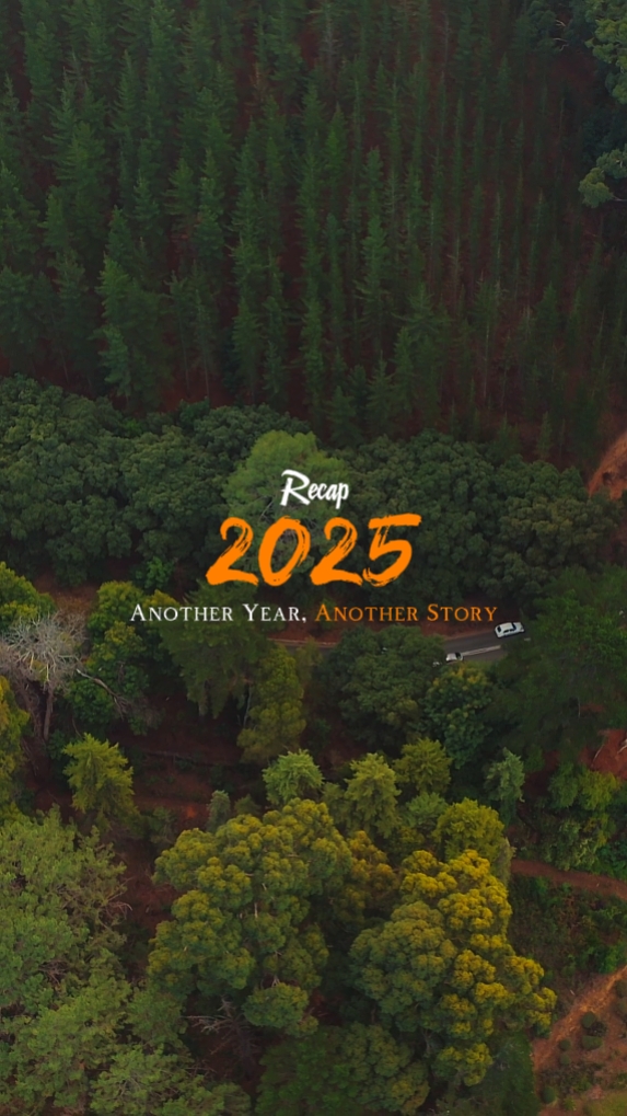 2025 Resumen