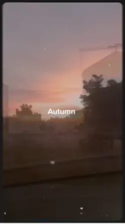 Autumn vlog
