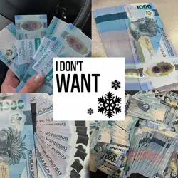 I want in Christmas.