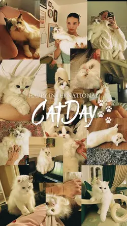 National cat day 