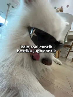 kalo soal cantik