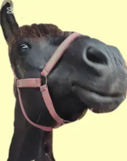 czy dasz radę kochac