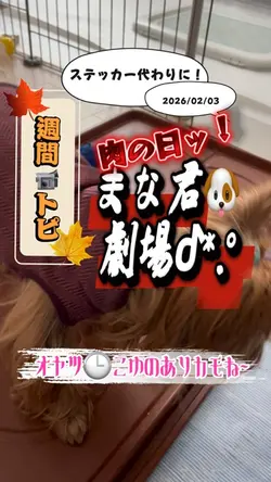 動画1本だけでステッカーとサムネイル付
