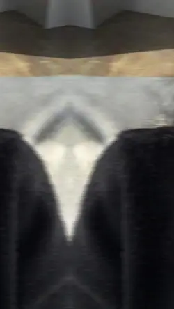 5張照片講完我熾熱愛你的心