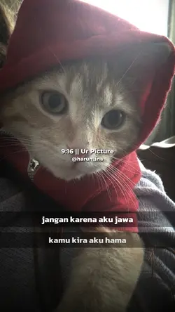 JNGAN KARENA AK JAWA