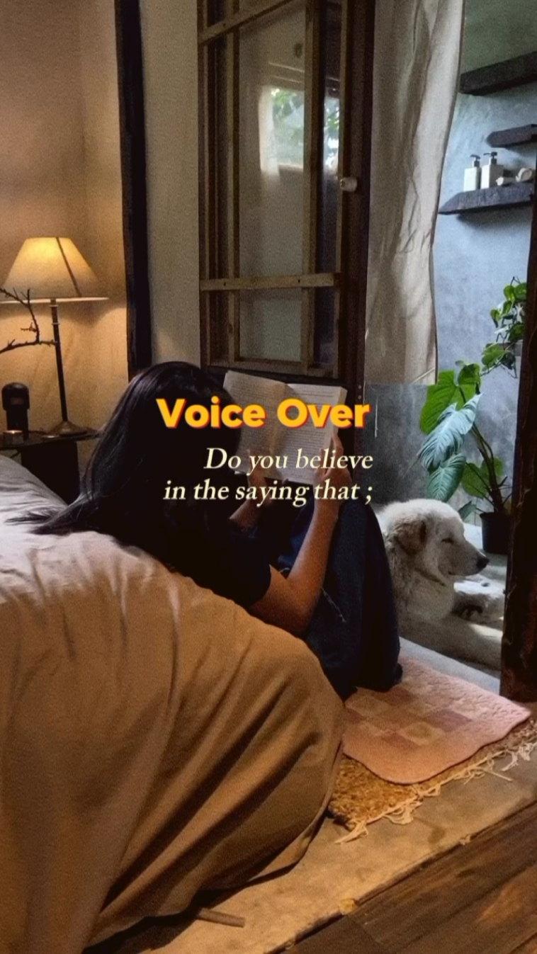Voice Over 